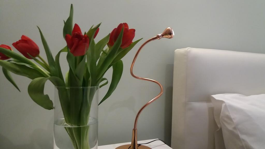 فيلا Blue Garden - Oporto Charming Townhouse المظهر الخارجي الصورة